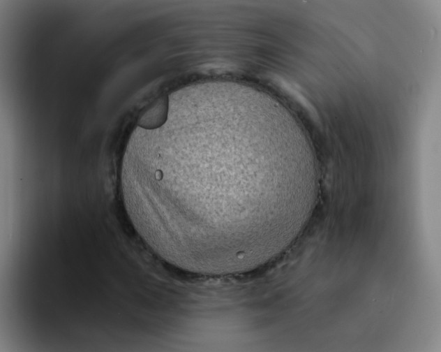 X0000094231015200711161905