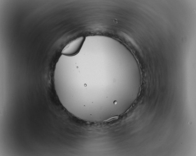 X0000094231016200711161905