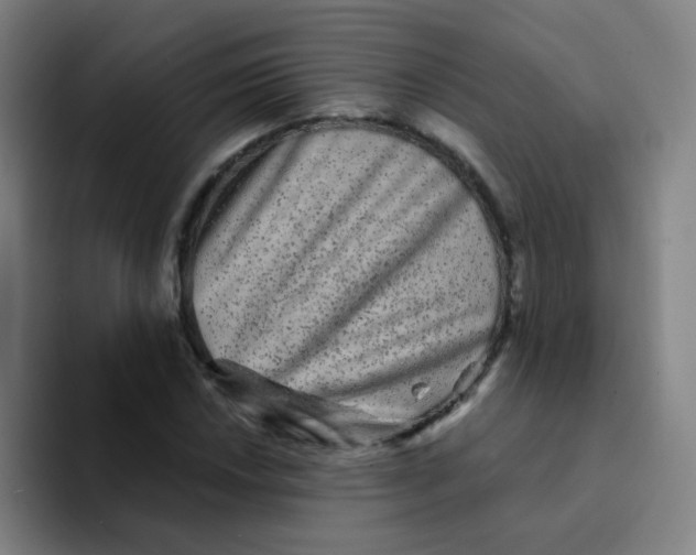 X0000094231018200711161905