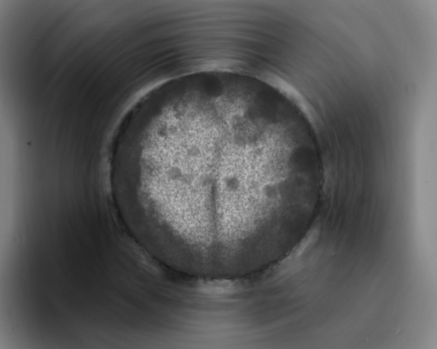 X0000094231019200711161905