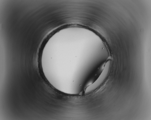 X0000094231020200711161905