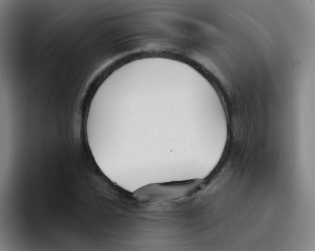 X0000094231021200711161905