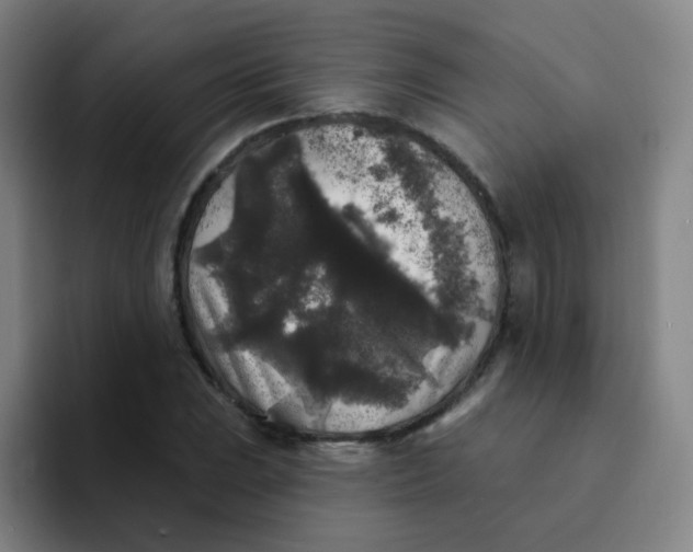 X0000094231023200711161905