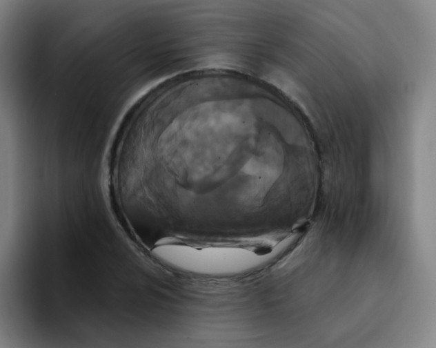 X0000094231024200711161905