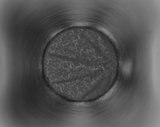 X0000094231025200711161905