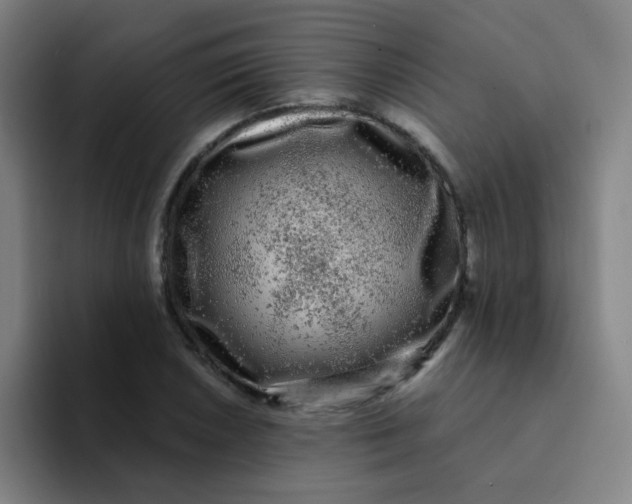 X0000094231026200711161905