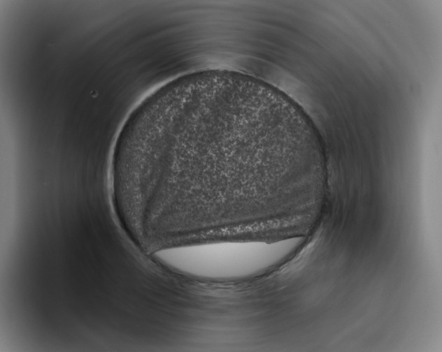 X0000094231028200711161905