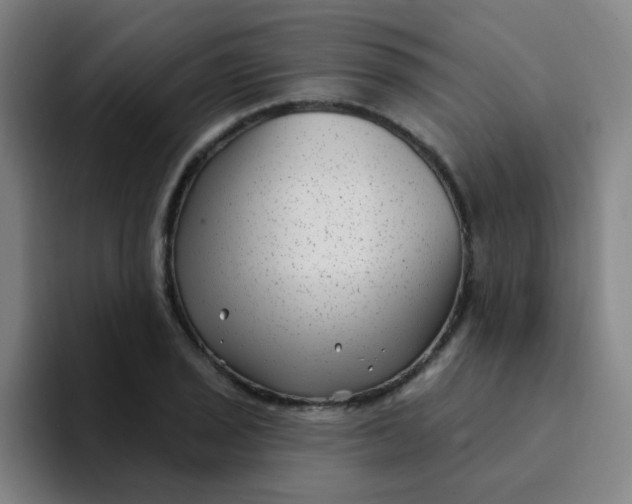 X0000094231029200711161905