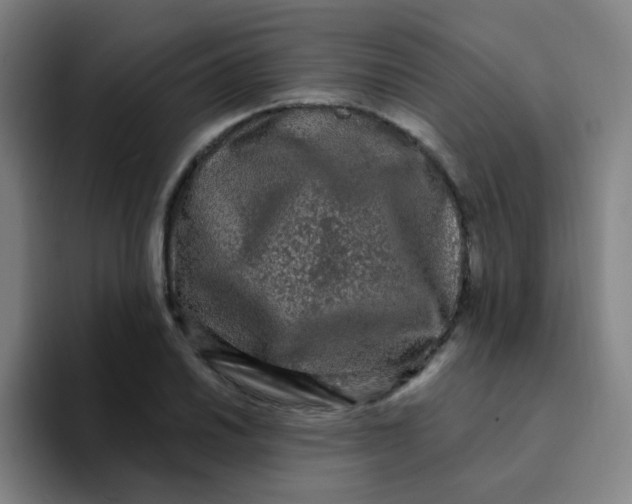 X0000094231030200711161905