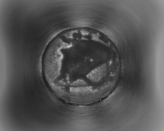 X0000094231031200711161905