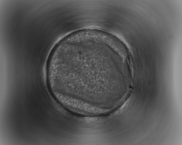 X0000094231032200711161905