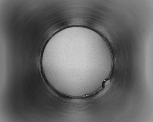 X0000094231033200711161905