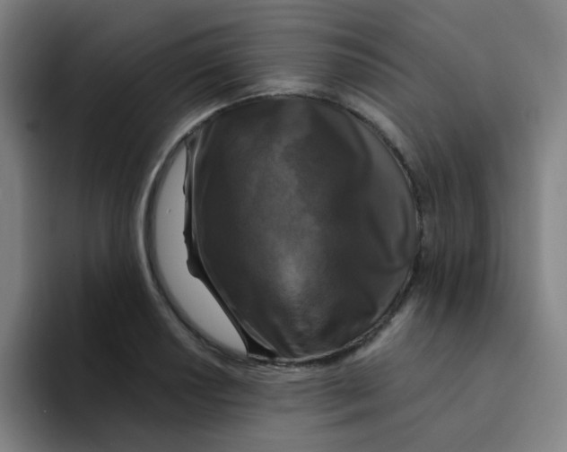 X0000094231034200711161905