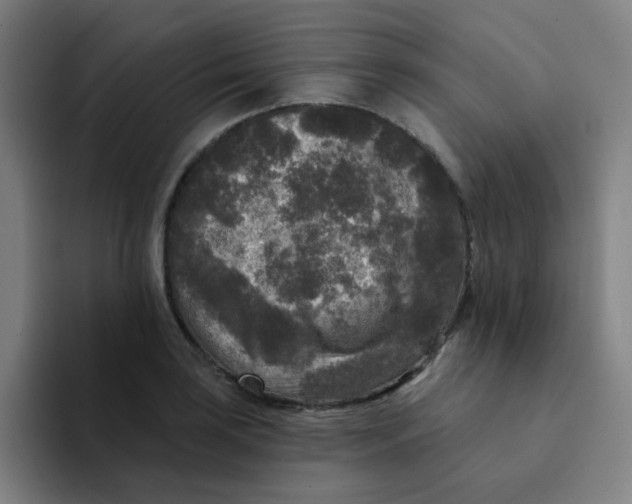 X0000094231035200711161905