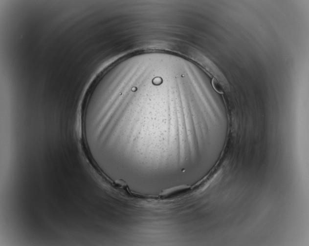 X0000094231036200711161905