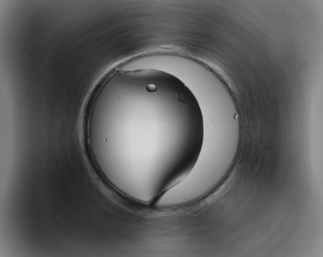 X0000094231038200711161905