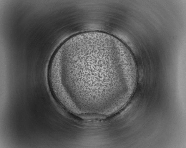 X0000094231039200711161905