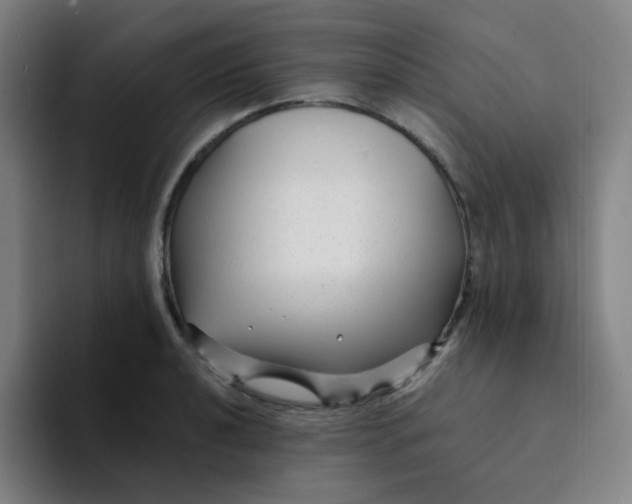 X0000094231040200711161905