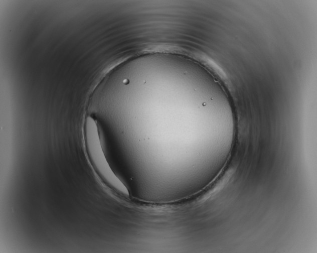 X0000094231041200711161905