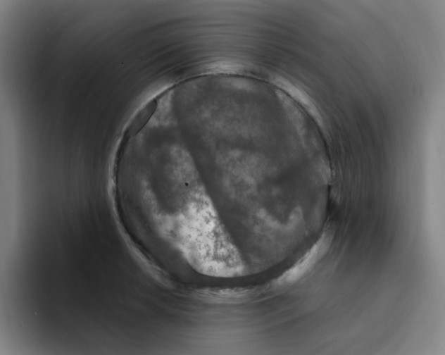 X0000094231042200711161905