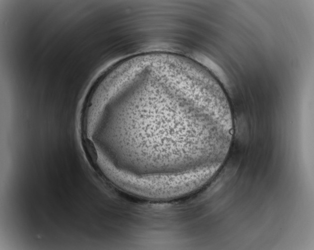 X0000094231043200711161905