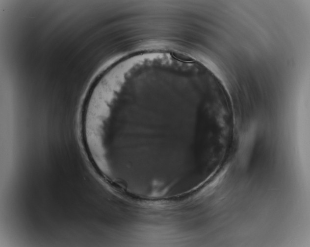 X0000094231045200711161905