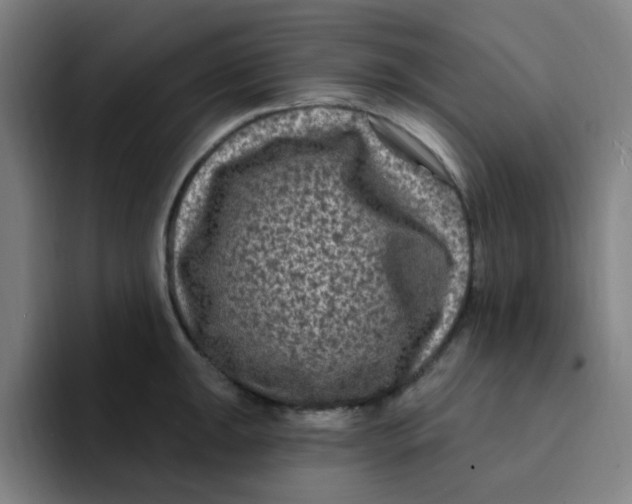 X0000094231047200711161905