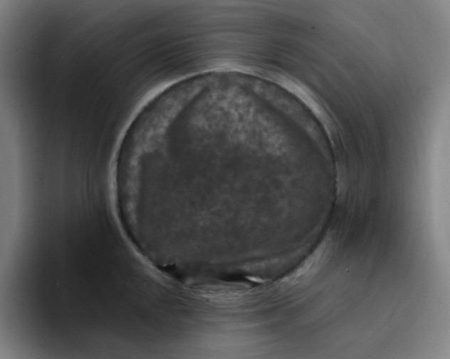 X0000094231048200711161905