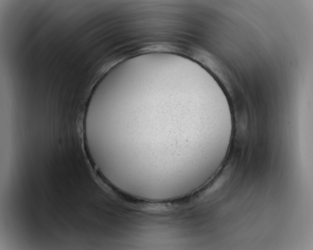 X0000094231049200711161905