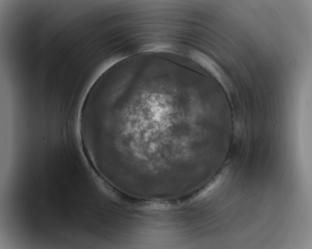 X0000094231050200711161905