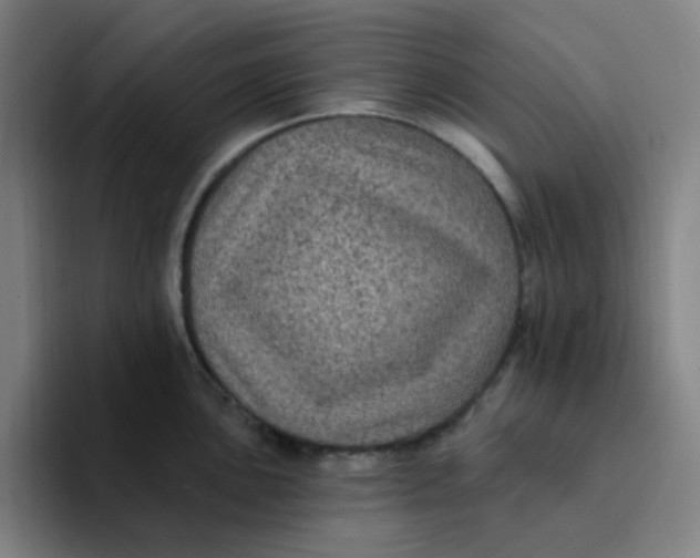 X0000094231051200711161905