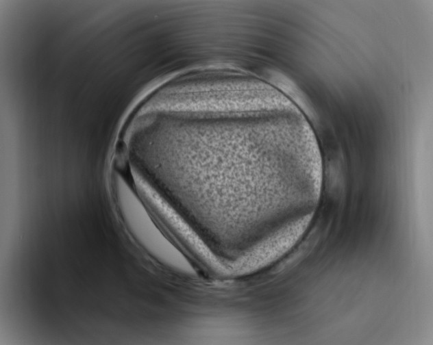 X0000094231052200711161905