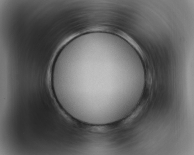 X0000094231053200711161905