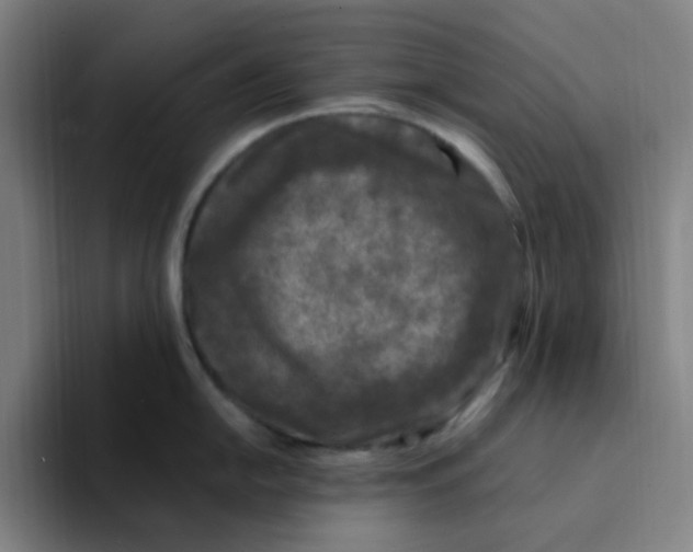 X0000094231054200711161905