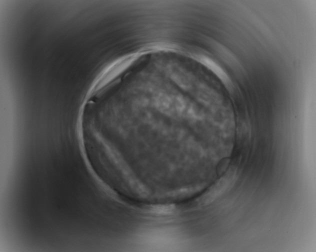 X0000094231055200711161905