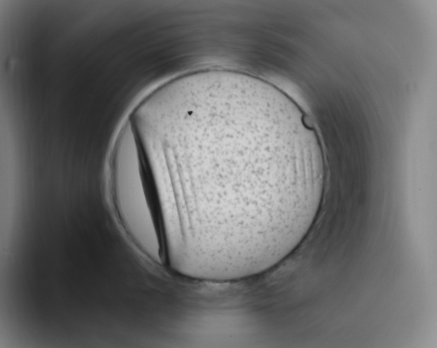 X0000094231056200711161905