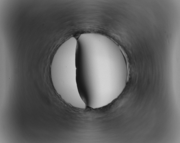 X0000094231057200711161905