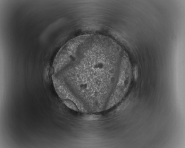 X0000094231059200711161905