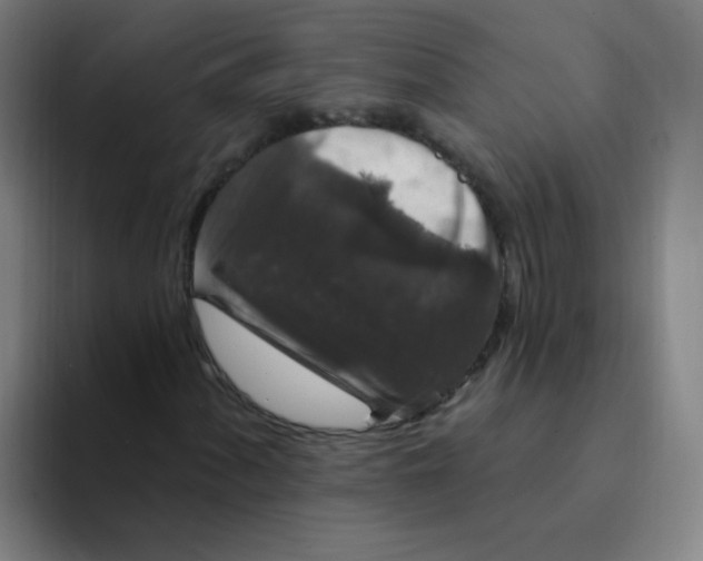 X0000094231060200711161905