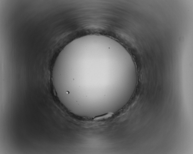 X0000094231061200711161905