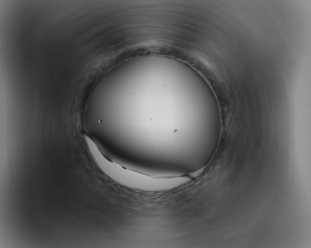 X0000094231062200711161905