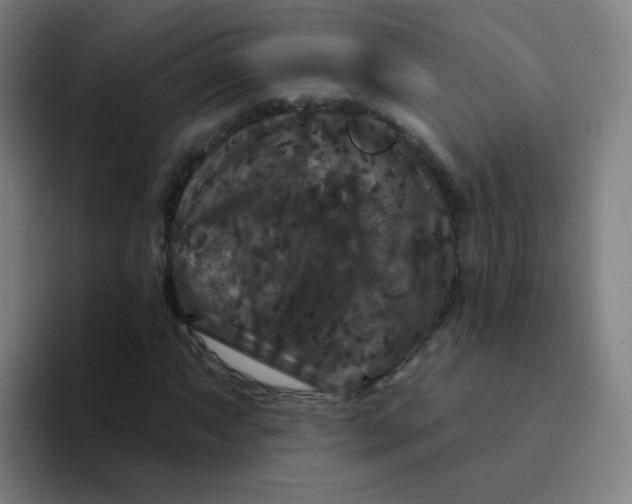 X0000094231063200711161905