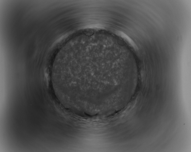 X0000094231064200711161905