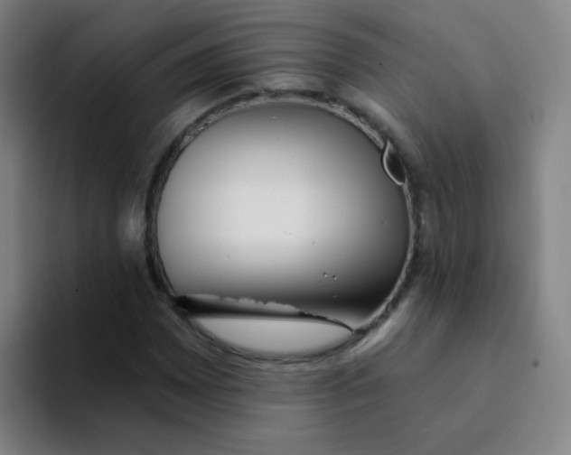 X0000094231065200711161905