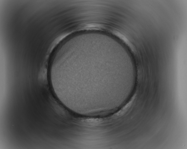 X0000094231066200711161905