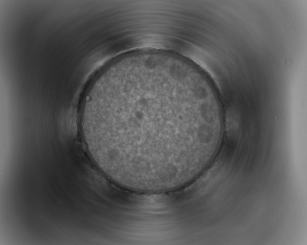 X0000094231067200711161905