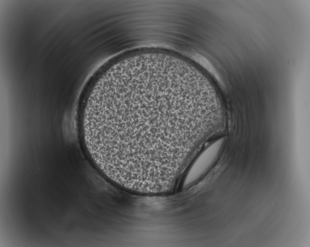 X0000094231068200711161905