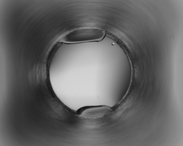 X0000094231069200711161905