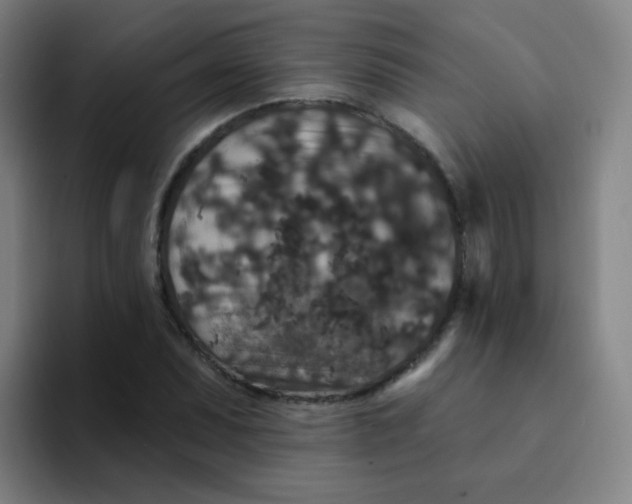 X0000094231071200711161905