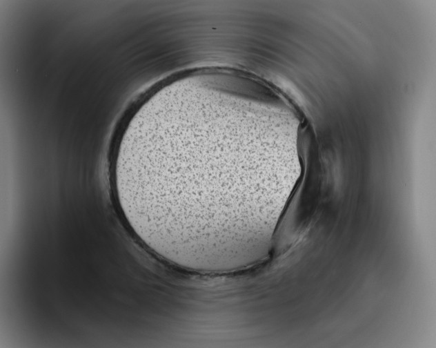 X0000094231072200711161905